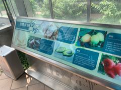 -国家植物园南园