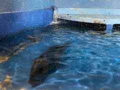 -太平洋海底世界