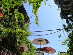 -胖娃古镇鸡杂(磁器口总店)