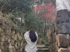 -径山寺