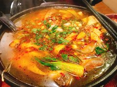 -焦记老潼关肉夹馍(东五路店)