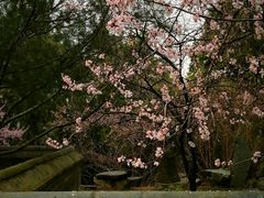-颐和园