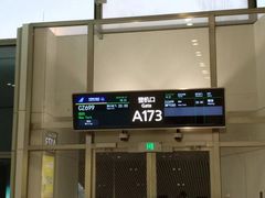 -约翰·菲茨杰拉德·肯尼迪国际机场
