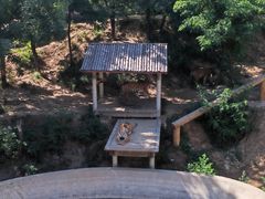 -石家庄市动物园