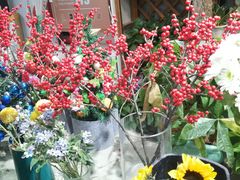 -何兮花店·气球派对鲜花店(马桥银春路万科城店)