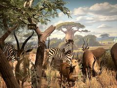 -陕西自然博物馆