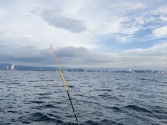 -麦哲伦丝绸度假村