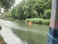 -新江湾城公园