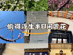 -青林口古镇