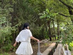 -芦芽山旅游度假区