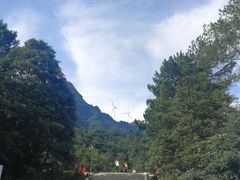 景点-梦幻奥陶纪景区