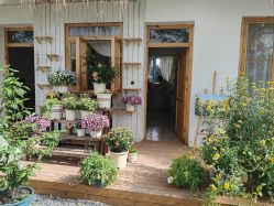 -DORA kids 朵拉儿童摄影花园店