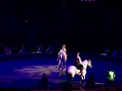 -珠海横琴长隆《卡卡虎奇遇记》