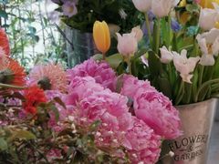 -二酉书店TOYOU BOOKS