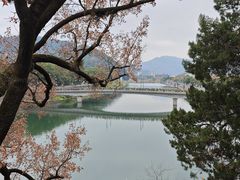-蒋氏故居
