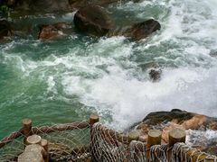 -广州白江湖森林公园