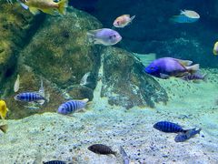 -江和美海洋公园