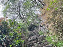 -镇江市南山风景名胜区竹林景区