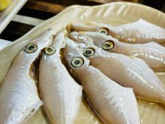 -肥婆麻辣火锅.顺德首创药材麻辣火锅(容桂店)