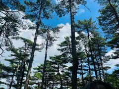 -黄山风景区