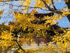 -东华门大街小区