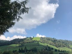 -东白山