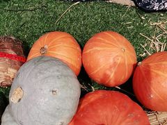 -老阿爸江浙土菜(奥体中心店)