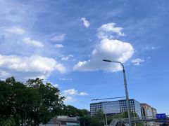 -首都医科大学附属北京同仁医院(西区)