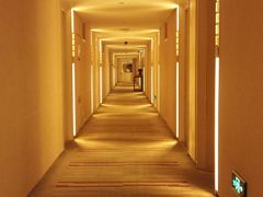 -电谷雅阁国际大酒店