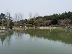 -嘉定紫藤园