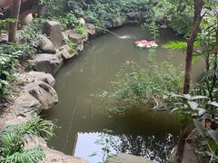 -钦善斋(武侯祠店)