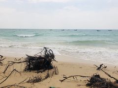 -石螺口海滩