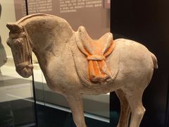 -隋唐大运河文化博物馆