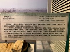 -北京大学赛克勒考古与艺术博物馆