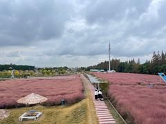 -嘉北郊野公园