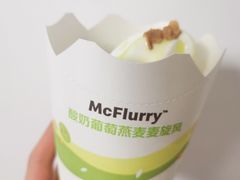 酸奶葡萄燕麦麦旋风-麦当劳(展览路店)