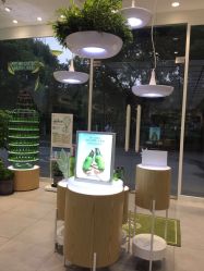 店内环境-悦诗风吟innisfree