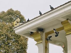 -洛阳白马寺