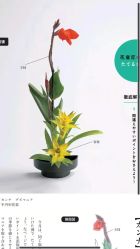 -今日陶艺(富力广场店)