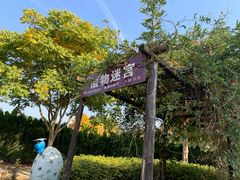 -金钉子远古世界景区