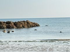 -小麦岛公园