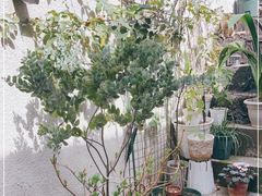 -About Bistro關於·泰式家庭料理