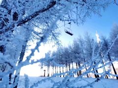 -密苑云顶乐园(云顶滑雪场)