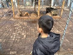 -长白岛森林公园