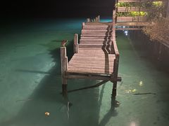 -卡帕莱度假村(西巴丹岛)