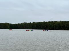 -上海海湾国家森林公园