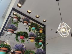 -三五堂·新国贸饭店·自助餐