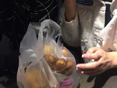-陆地游轮吉林神农温泉