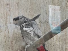 -昆明动物园