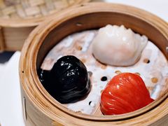 锦绣虾饺皇三拼-炳胜私厨(中达旗舰店)